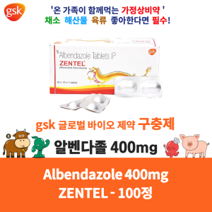 구충제 알벤다졸 400mg 100정 대용량 기생충 회충약 이버멕틴