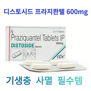 디스토시드 프라지콴텔 600mg 구충제 3박스 (24정)