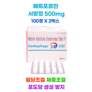 메트포르민  서방정 100정 2박스