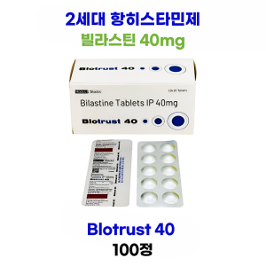 2세대 항히스타민제 신약 Blotrust-40 100정