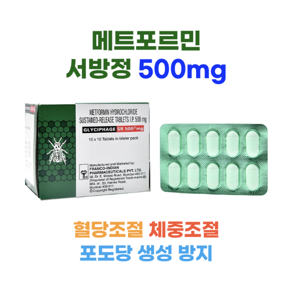 메트포르민 서방정 Glyciphage SR 500mg  100정  2박스