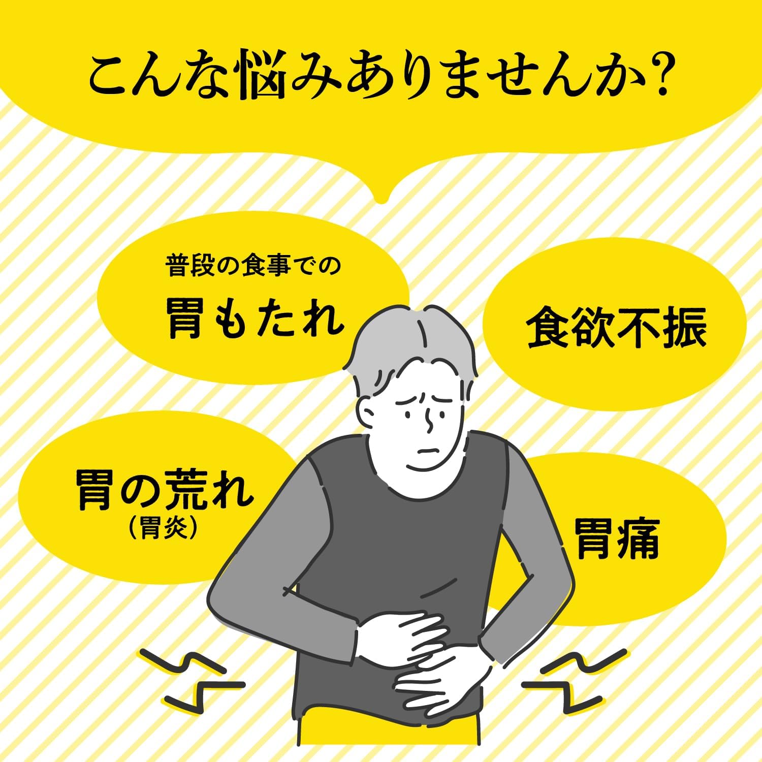 다이쇼 한방 위장약 48포