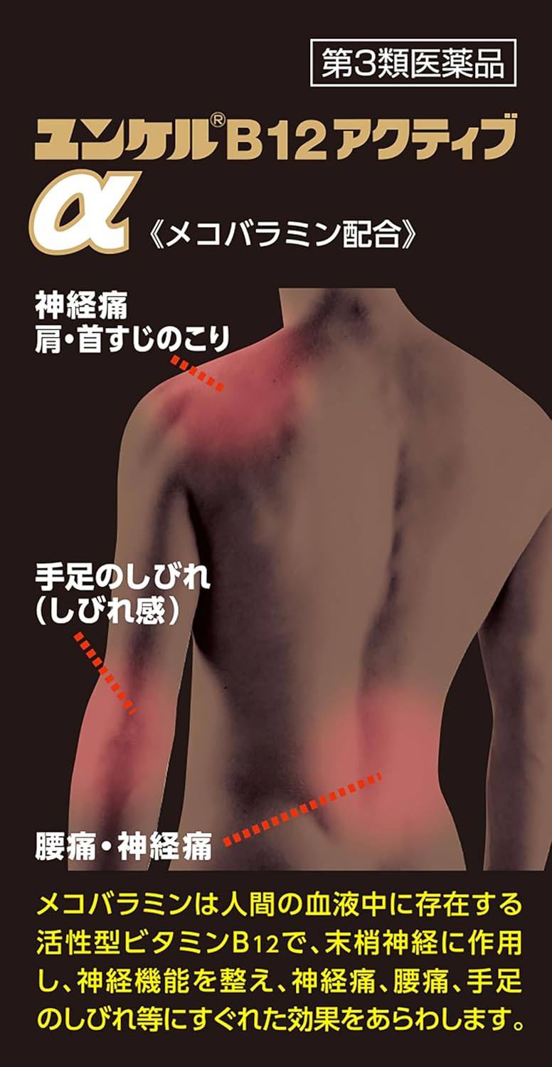 윤켈 B12 액티브 α 120정