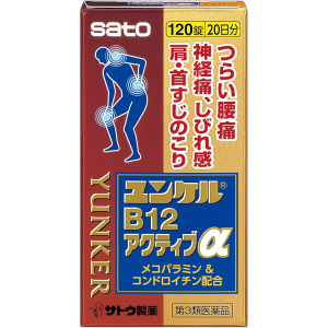윤켈 B12 액티브 α 120정