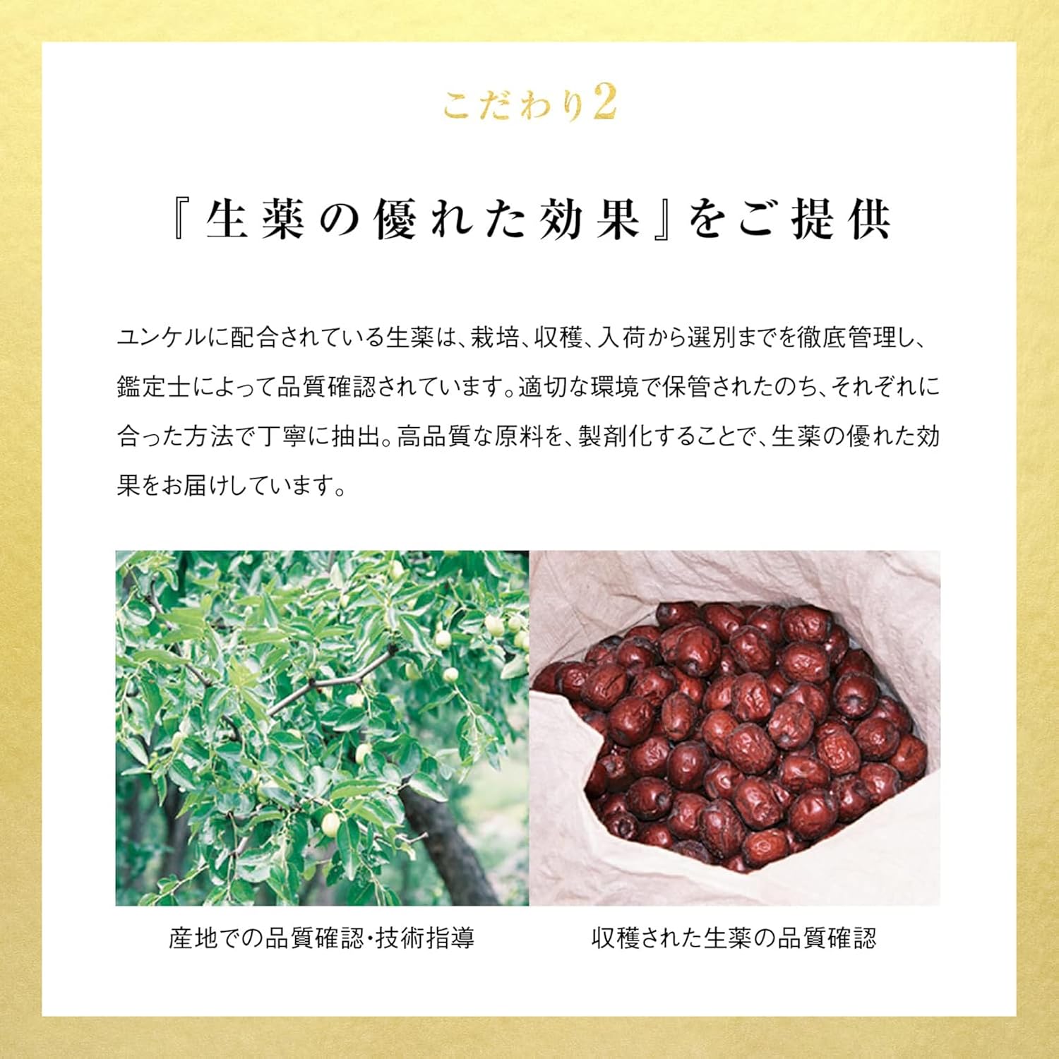 윤켈 황제 과립 16포