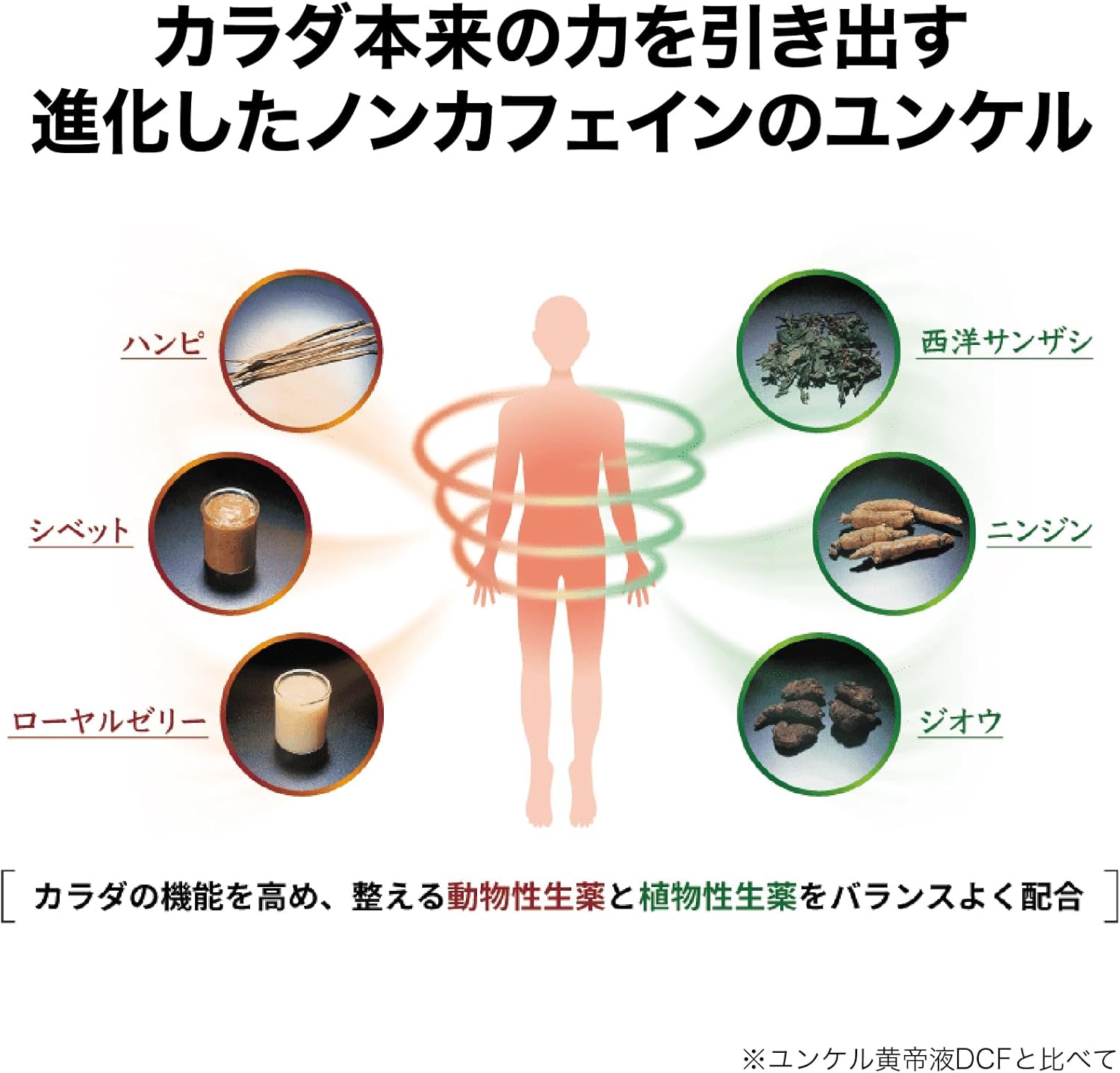 윤켈 황제 DCF 30mL 3병입