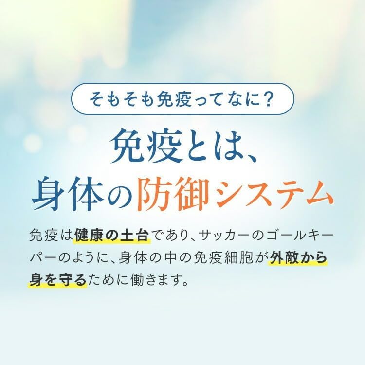판클 면역 서포트 정제 타입 30일분