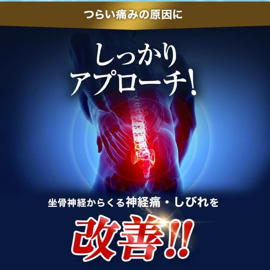 료신BG정 62정