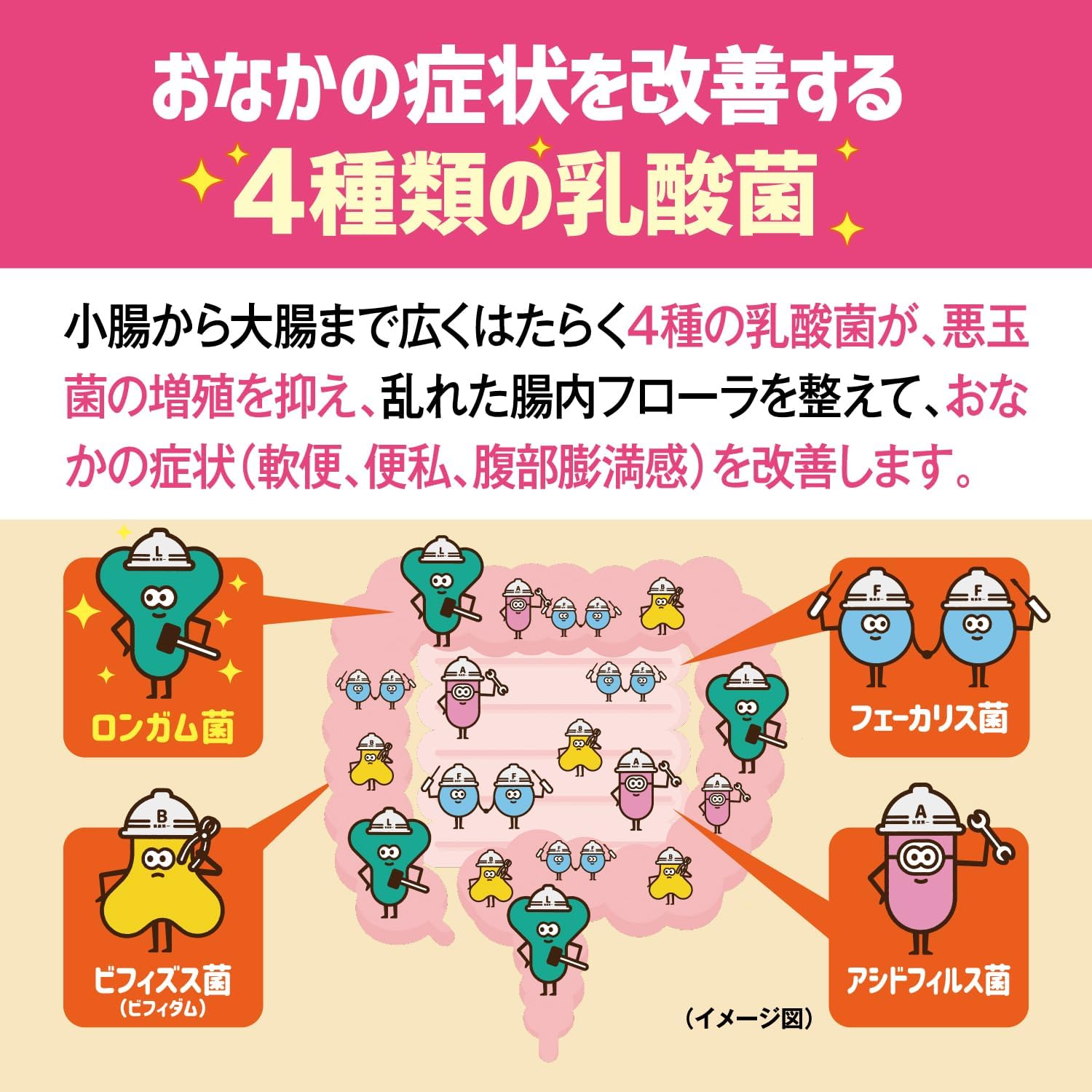신 비오페르민 S 플러스정 550정