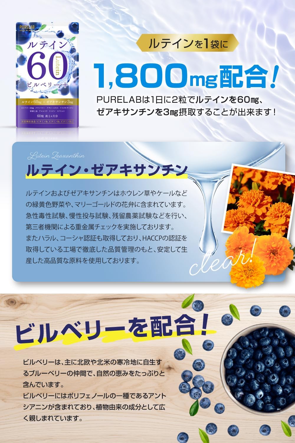 퓨어랩 루테인 60mg 블루베리·빌베리 영양제 【2개 세트】