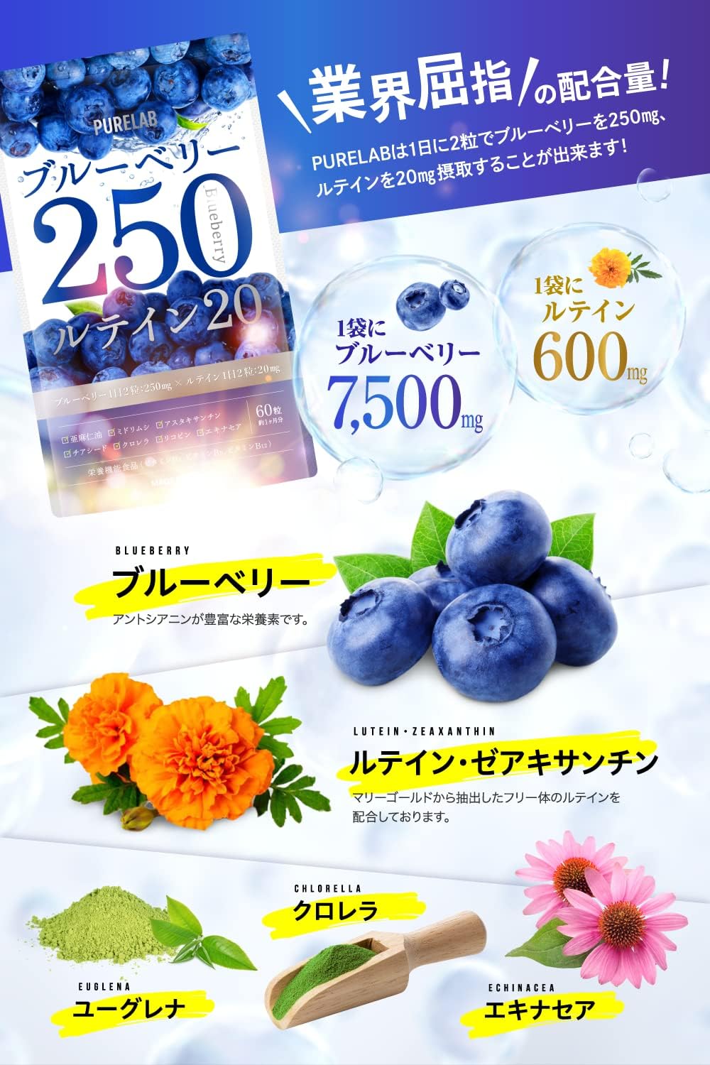 퓨어랩 블루베리 250mg 루테인 20mg 영양제 (30일분) 【2개 세트】