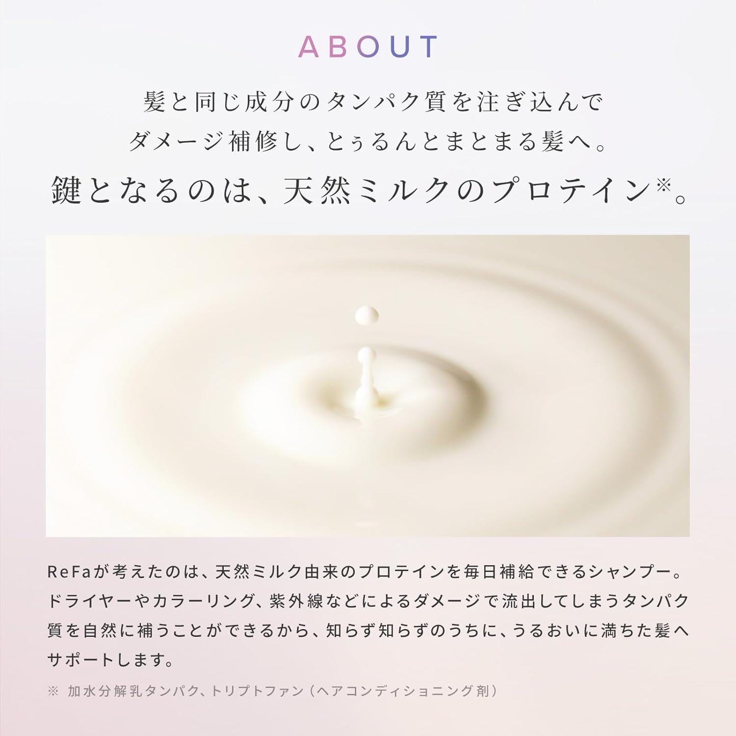 리파 밀크 프로테인 본체 500g 핑크 플로럴 베리 샴푸·트리트먼트 세트
